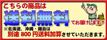 いちじく イチジク 訳あり 1.5kg 和歌山県産 送料無料※北海道、沖縄は送料別途加算