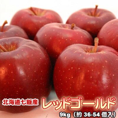 りんご 北海道産 蜜入 レッドゴールド リンゴ 9kg（約36-54個入） 送料無料※沖縄は送料別途加算 花見 GW 新生活