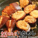 いかめし 送料無料 訳あり 森町 500g（250g×2袋）ポスト投函 メール便 ホワイトデー お花見 入学 入社 新生活 キャンプ