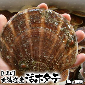 活ホタテ ホタテ 3年貝 5kg 送料無料 殻付き ほたて 刺身用 ホタテ貝柱 ※沖縄は送料別途加算 ひな祭り 新生活 ホワイトデー