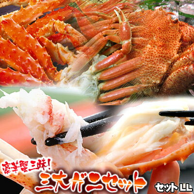 カニ福袋!豪華蟹三昧!三大ガニセットLL 送料無料 ※沖縄は送料別途加算 母の日 お花見 ゴールデンウィーク