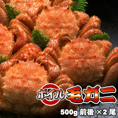 ボイル毛ガニ【大】500g前後×2尾 送料無料 ※沖縄は送料別途加算 ひな祭り 新生活 ホワイトデー