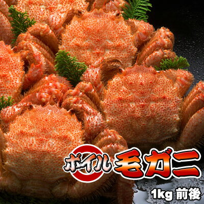 ボイル毛ガニ【超特大】1kg前後 送料無料 ※沖縄は送料別途加算 母の日 お花見 ゴールデンウィーク