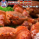 活毛ガニ 訳あり 3kg 詰 送料無料 ※沖縄は送料別途加算 身入り7割前後 母の日 お花見 ゴールデンウィーク