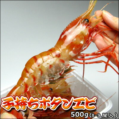 ぼたんえび 子持 ボタンエビ 刺身 500g 送料無料 ※沖縄は送料別途加算 父の日 お中元 夏至のサムネイル