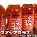 コアップガラナ500ml×24本×2箱 送料無料 ※沖縄は送料別途加算 御中元 キャンプ 夏祭り