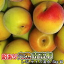 ふぞろい傷有り 和歌山県直送 訳あり 完熟 南高梅 5kg詰 送料無料 ※北海道、沖縄・離島は送料別 ...