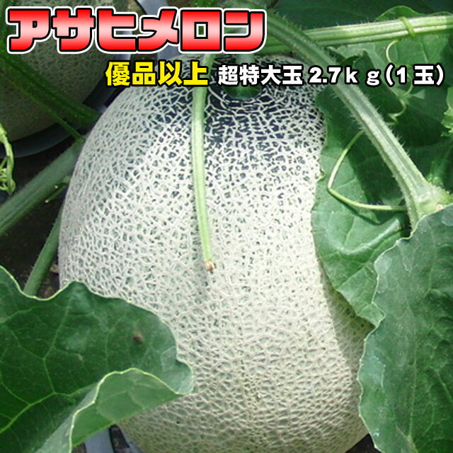 楽天道産ネット ミツハシ超特大 ドデカ アサヒメロン 優品以上 幻 超特大玉2.7kg 送料無料 ※沖縄は送料別途加算 父の日 バーベキュー アウトドア