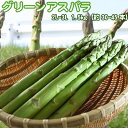 北海道 アスパラ グリーンアスパラ 送料無料 2L-3L 1.5kg ※沖縄は送料別途加算 母の日 お花見 ゴールデンウィーク