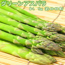 グリーンアスパラ 北海道 M-L 1kg 送料無料 アスパラガス アスパラ ※沖縄は送料別途加算 母の日 お花見 ゴールデンウィーク