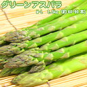 ꡼󥢥ѥ ̳ƻ M-L 1.5kg ̵ ѥ饬 ѥ Ӳû Ҥʺפ  ۥ磻ȥǡ