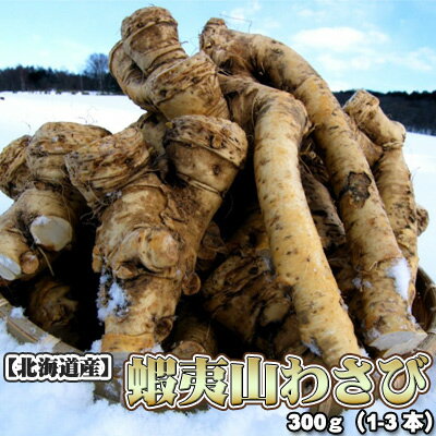 山わさび 北海道産 蝦夷山わさび 西洋わさび 300g 送料無料※沖縄は送料別途加算 ホースラディッシュ レホール