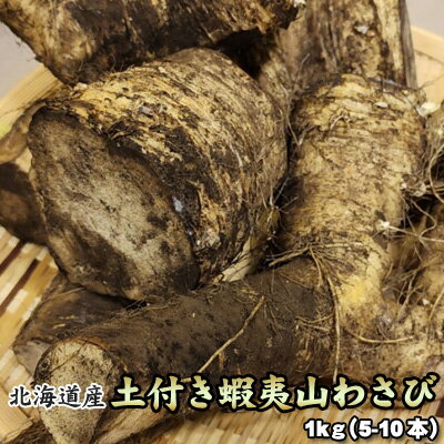 山わさび 土付き 北海道産 蝦夷山わさび 西洋わさび 1kg 送料無料※沖縄は送料別途加算 ホースラディッ..