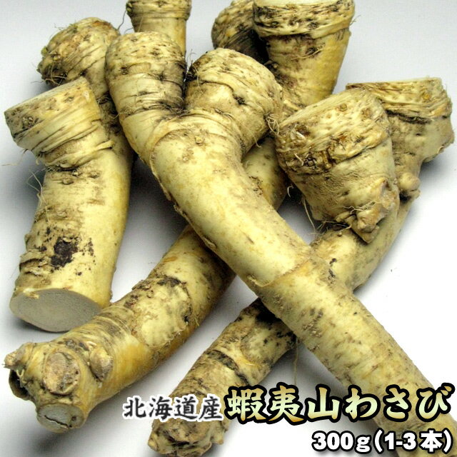 山わさび 北海道産 蝦夷山わさび 西洋わさび 300g 送料無料※沖縄は送料別途加算 ホースラディッシュ レホール 歳暮 クリスマス 正月