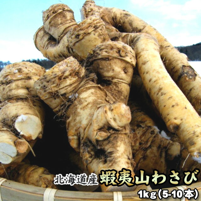 山わさび 北海道産 蝦夷山わさび 西洋わさび 1kg 送料無料※沖縄は送料別途加算 ホースラディッシュ レホール 歳暮 クリスマス 正月