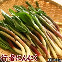 行者にんにく 行者ニンニク キトビロ 送料無料 300g 北海道産 沖縄送料別途加算 母の日 お花見 ゴールデンウィーク