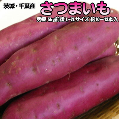 茨城・千葉産 さつまいも 秀品 5kg前後 L-2Lサイズ 約10−13本入 送料無料 ※沖縄は送料別途加算 父の日 お中元 キャンプ