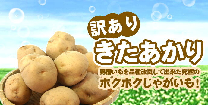 きたあかり 9.5-10kg×2箱 訳あり 北海道 じゃがいも S-Mサイズ 送料無料 ※沖縄は送料別途加算 キタアカリ 父の日 お中元 キャンプ dousan-10002155 道産ネット ミツハシ サンプル画像3