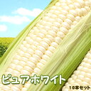 【予約】ピュアホワイト 北海道 とうもろこし 10本入 送料無料 ※沖縄は送料別途加算 ひな祭り 新 ...