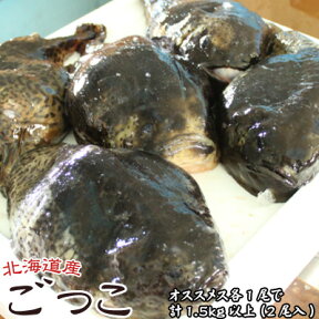 ゴッコ ごっこ 布袋魚 送料無料 オススメス各1尾で計1.5kg以上(2尾入) ※沖縄送料別途加算 ひな祭り 新生活 ホワイトデー