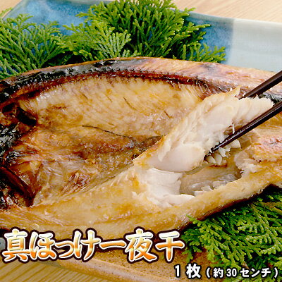 ۥå봳1ݥȾòؽ
