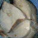 鮮魚を急速冷凍 アサバカレイ 浅羽カレイ 3kg (約9-15枚入) 北海道産 噴火湾 送料無料 ※沖縄は送料別途加算 あさばかれい クリスマス 御歳暮 正月