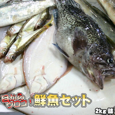 鮮魚セット 2kg 業務用 居酒屋 送料無料 北海道産 ※沖縄送料別途加算 ひな祭り 新生活 ホワイトデー