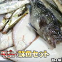 鮮魚セット 2kg 業務用 居酒屋 送料