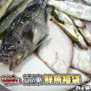 鮮魚を急速冷凍！北海道お魚福袋2kg