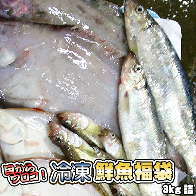 鮮魚を急速冷凍！北海道お魚福袋3kg