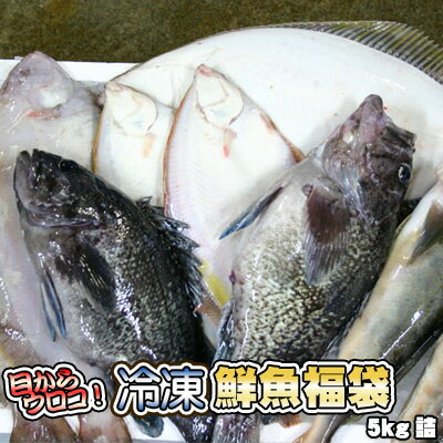 鮮魚を急速冷凍！北海道お魚福袋5kg