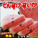 食品・ドリンク・酒通販専門店ランキング17位 予約 でんすけすいか 秀品 Lサイズ 送料無料 ※沖縄は送料別途加算 でんすけスイカ ポイント消化 ゴルフコンペ 御中元 お中元 人気 プレゼント 食品・ドリンク・酒通販専門店ランキング17位 予約 でんすけすいか 秀品 Lサイズ 送料無料 ※沖縄は送料別途加算 でんすけスイカ ポイント消化 ゴルフコンペ 御中元 お中元 人気 プレゼント