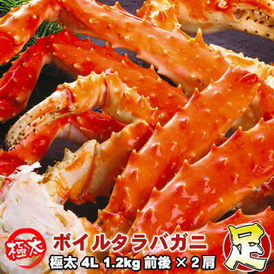 タラバガニ足 ボイル 極太 4L 1.2kg前後×2肩 身入り抜群 送料無料 ※沖縄は別途送料加算 ひな祭り 新生活 ホワイトデー