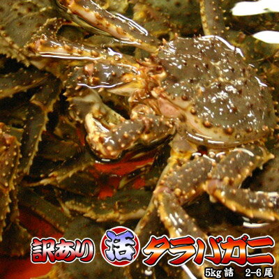 訳あり タラバガニ 活 5kg前後 身入り7割前後 送料無料 ※沖縄は送料別途加算 ひな祭り 新生活 ...