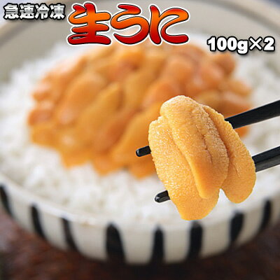 生うに100g×2 送料無料 ※沖縄は送料