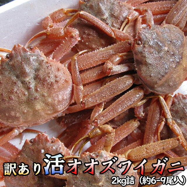 襺磻2kgͿ7̵Ӳû磻˥ꥹޥ