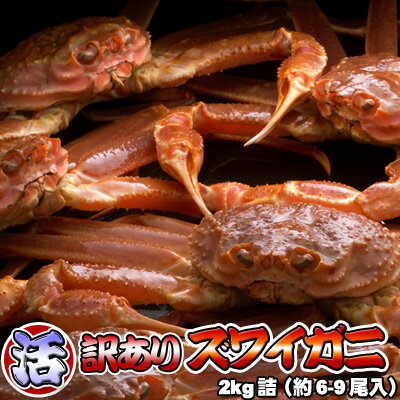 活ズワイガニ 訳あり 2kg詰 身入り7割前後 送料無料 ※沖縄は送料別途加算 オオズワイガニ ひな祭り 新..