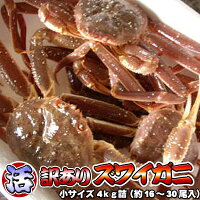 訳あり 活 ズワイガニ 小サイズ 4kg詰 送料無料 ※沖縄別途送料加算 身入り7割前後 ...