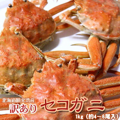 セイコガニ 活 訳あり 北海道産 1kg 約4−6尾入 身入り7分前後 送料無料 沖縄送料別途加算 ひな祭り 新生活 ホワイトデー