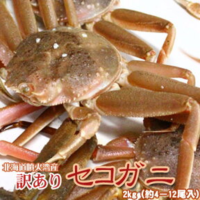 セコガニ 訳あり 2kg（訳4−12尾入） 活 北海道産 香箱ガニ せいこ蟹 せいこがに 身入り7分前後 送料無料 ※沖縄送料別途加算 ひな祭り 新生活 ホワイトデー