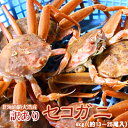 セイコガニ 活 北海道産 香箱ガニ せいこ蟹 せいこがに セコガニ 訳あり たっぷり4kg詰（13-25尾）身入り7分前後 送…