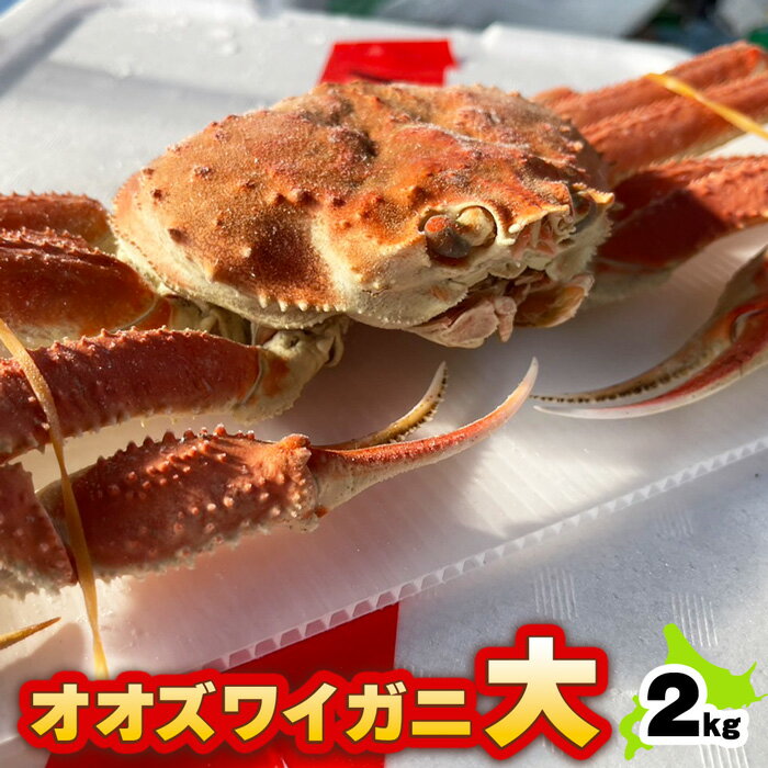 訳あり【北海道産】オオズワイガニ（大）2kg 400～450g前後×約4～5杯 生冷凍　北海道グルメ　国産　バルダイ種