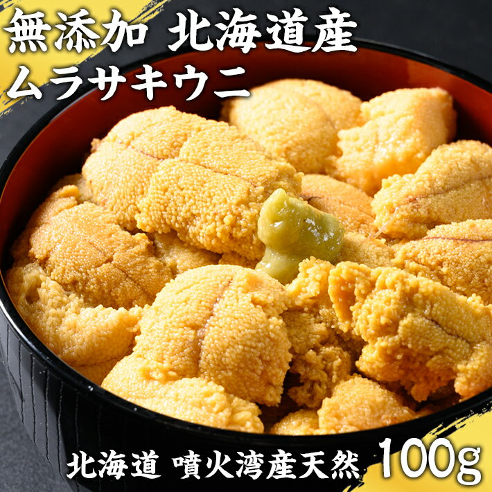 塩水 ムラサキウニ 北海道 生ウニ 100g 新鮮 送料無料 ギフト 30代 40代 50代 男性 女性 高級ギフト 健康志向 ヘルシー 父の日 母の日 新鮮 鮮度 お歳暮 お中元 高級