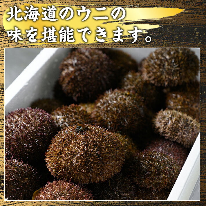 バフンウニ 100g 北海道 新鮮 送料無料 折りバフンウニ ギフト 30代 40代 50代 男...