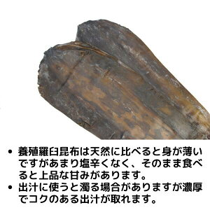 【昆布の王様】 羅臼昆布 100g 送料無料 メール便 昆布 だし昆布 コンブ こんぶ 国産 煮物 和食 出汁 北海道 海藻 お正月 お盆 煮物 鍋 おせち料理 ギフト お歳暮 お中元 父の日 母の日 敬老の日 お祝い お誕生日 還暦 お土産 お取り寄せグルメ dskomb