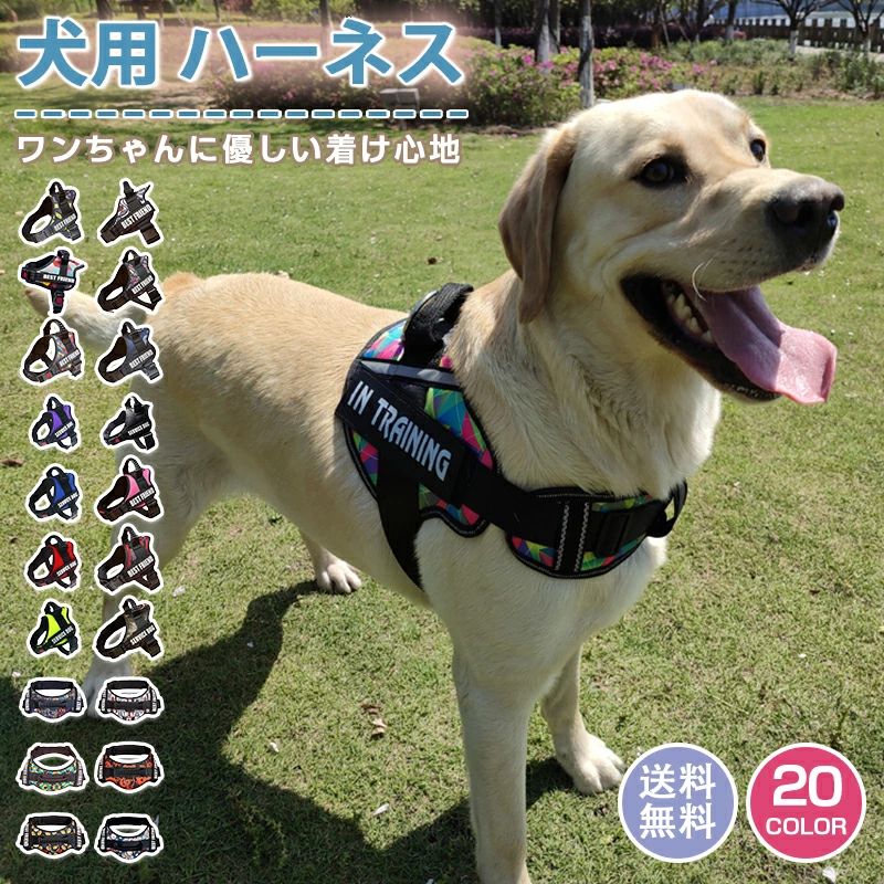 Rakuten - 送料無料 犬 ハーネス 名前 胴輪 単品 名入れ イニシャル 簡単装着 引っ張り防止 抜けない 小型犬 中型犬 大型犬 かわいい 散歩 お出かけ アウトドア 迷子防止 通気性 ナイロン マジックテープ ハンドル付き