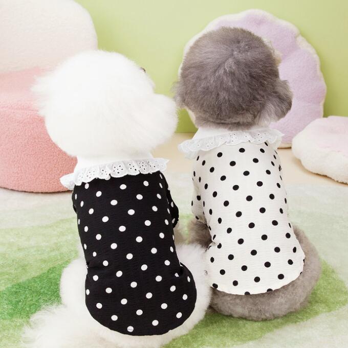 乐天商城 - 水玉 レース モノトーン 袖あり 春トップス ワンちゃん ドット柄 春犬服 おしゃれ 小型犬服 半袖 春シャツ ペアコーデ 新作 襟つき 犬洋服 春 猫 超!可愛い パピー 春夏 猫洋服 犬