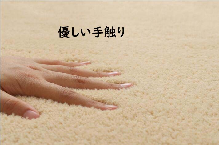 【送料無料】カーペット 厚手 ラグ 洗える 60×160cm 楕円 無地 北欧 滑り止め オールシーズン使える ラグマット おしゃれ モダン 可愛い 寝室 リビング 引っ越し 絨毯 じゅうたん rug 祝いプレゼント ギフト 冬用 夏用 フロアマット 取り扱い簡単 [2]