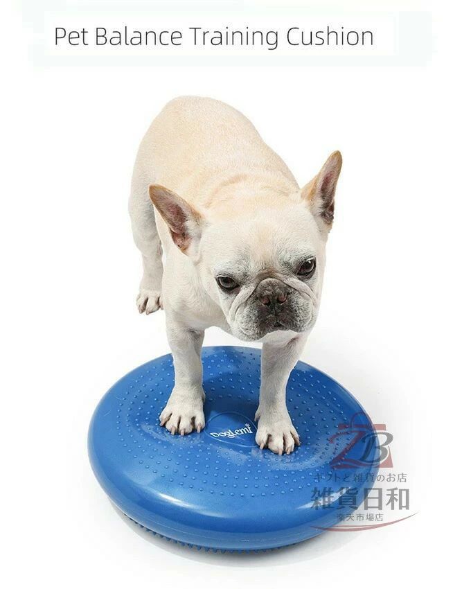 犬用 バランスディスク リバーシブル ペットトレーニング 体幹強化 大型犬 中型犬 ...