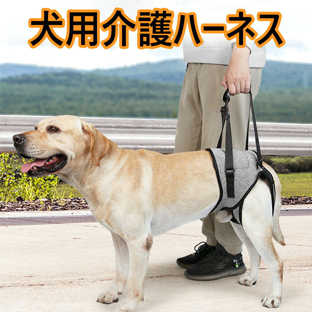 【介護】体力や足の力が弱い老犬の世話をしたり、車や階段、入り口を持ち上げたりするのに使用でき、歩行を補助する介護ハーネスです。犬のリハビリのための理想的な歩行補助ハーネスです。【調節可能】わんちゃんの脚の長さや飼い主さんの背の高さに合わせて調節できるようになっています。【贈り物に最適】この犬用介護ハーネス はかわいいだけでなく、カラフルでもあり、贈り物に最適です。【便利な収納】終了したら、便利な持ち運ぶことができます。排尿や排便を妨げることはありません。【素材】オックスフォード生地＋メッシュ、しっかりとした耐久性。【サイズ】:S，M，L，XL